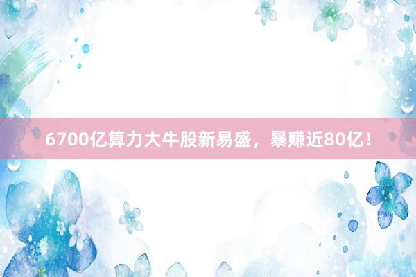 6700亿算力大牛股新易盛,暴赚近80亿!