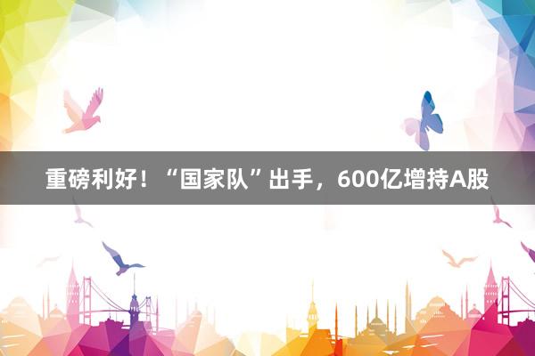 重磅利好!“国家队”出手,600亿增持A股