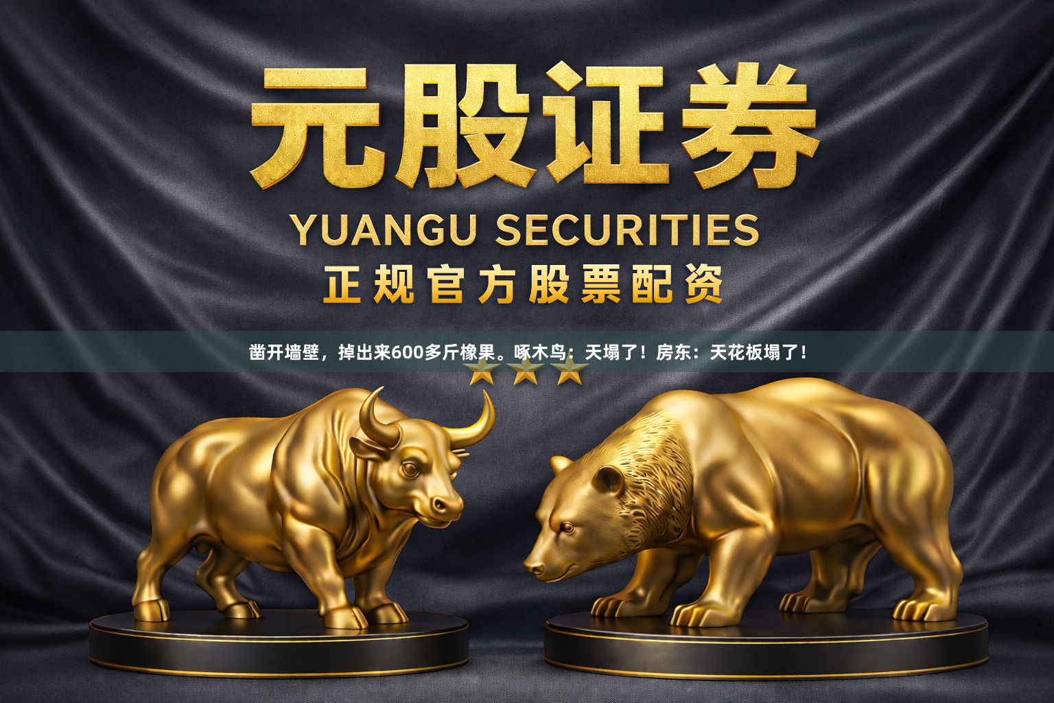 凿开墙壁，掉出来600多斤橡果。啄木鸟：天塌了！房东：天花板塌了！